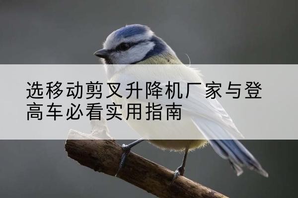永济电动升降机厂家-选移动剪叉升降机厂家与登高车必看实用指南