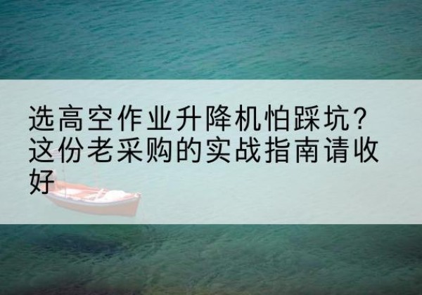 永济高空作业升降机厂家推荐-选高空作业升降机怕踩坑？这份老采购的实战指南请收好