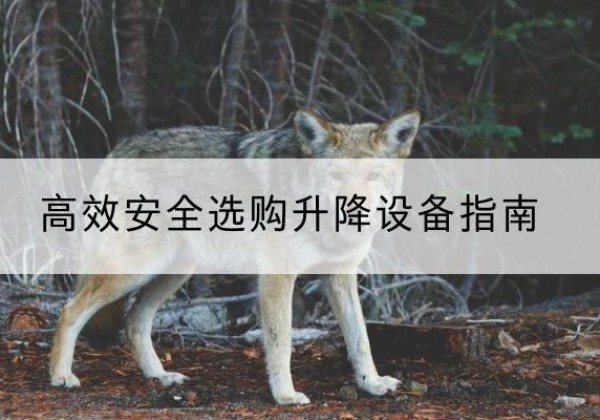 永济升降货梯厂家推荐-*安全选购升降设备指南