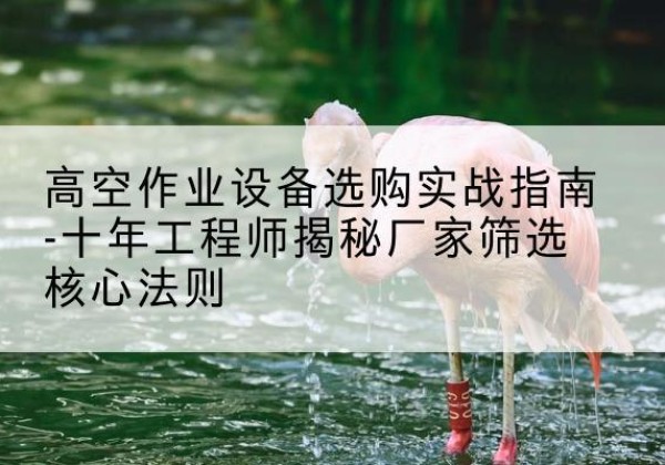 永济剪叉式升降机厂家-高空作业设备选购实战指南-十年工程师揭秘厂家筛选核心法则